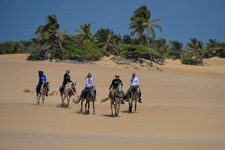 Brazil-Alagoas-The Coconut Trail Ride